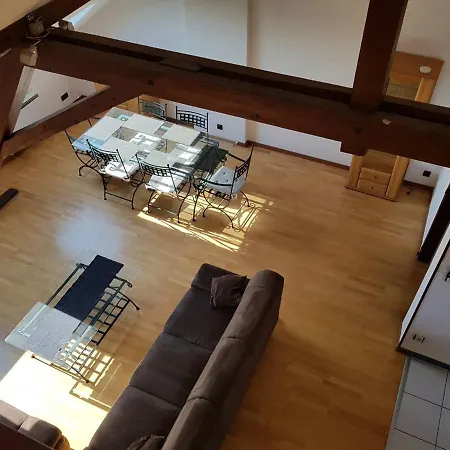 Apartment Chaleureux Duplex En Alsace *