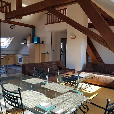 Apartment Chaleureux Duplex En Alsace