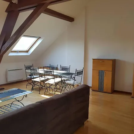 Chaleureux Duplex En Alsace Apartment *
