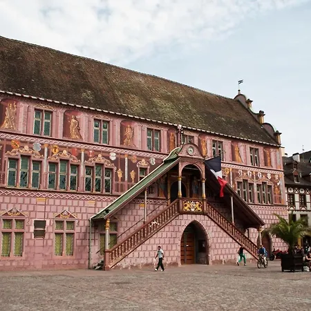Chaleureux Duplex En Alsace Apartment *