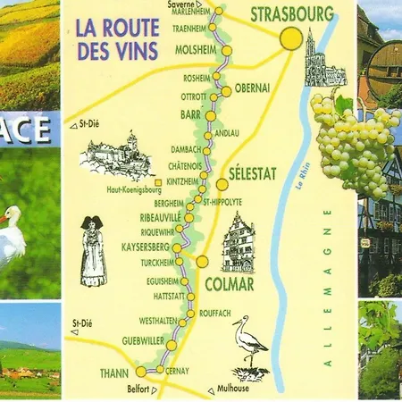 Apartment Chaleureux Duplex En Alsace *