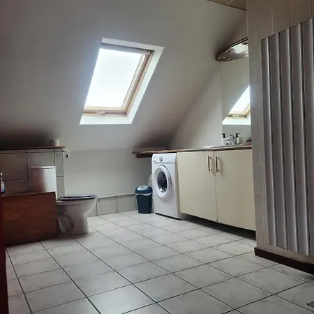 Chaleureux Duplex En Alsace Mulhouse