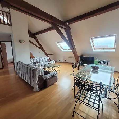Chaleureux Duplex En Alsace