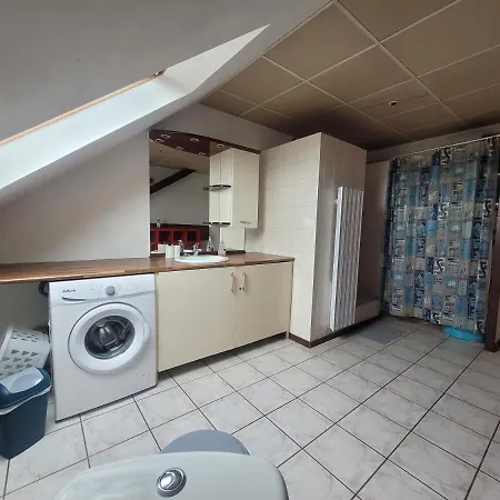 Apartment Chaleureux Duplex En Alsace