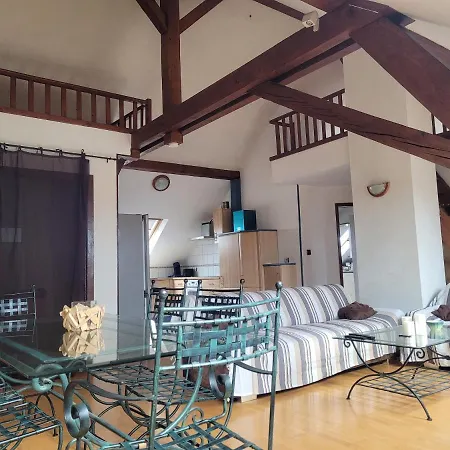 Apartment Chaleureux Duplex En Alsace *