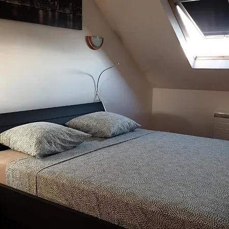 Chaleureux Duplex En Alsace Mulhouse